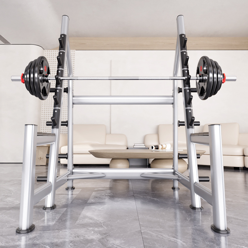 Squat Rack Power Cage, met gew - Heavy Equipment Gym recensie en prijs